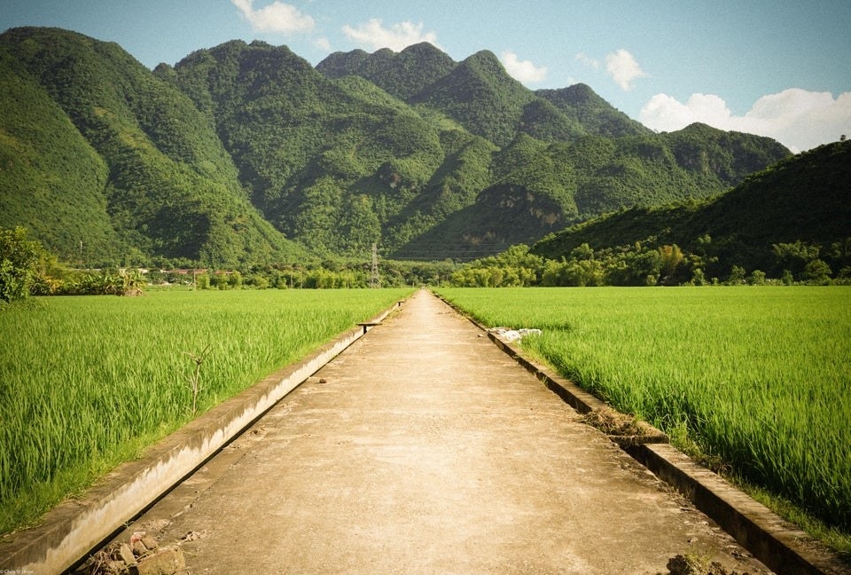 rice fiels with a road down the middle, surrounded by mountains, in Mai Chau