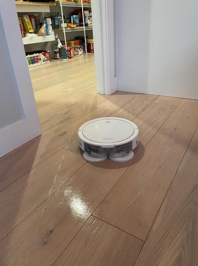 the robot vacuum cleaning a reviewer&#x27;s floor