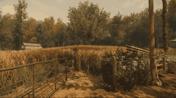 A mysterious ball of golden light trails over a corn field on a farm
