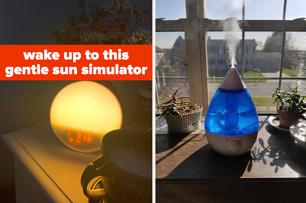 I'm an image I'm an image