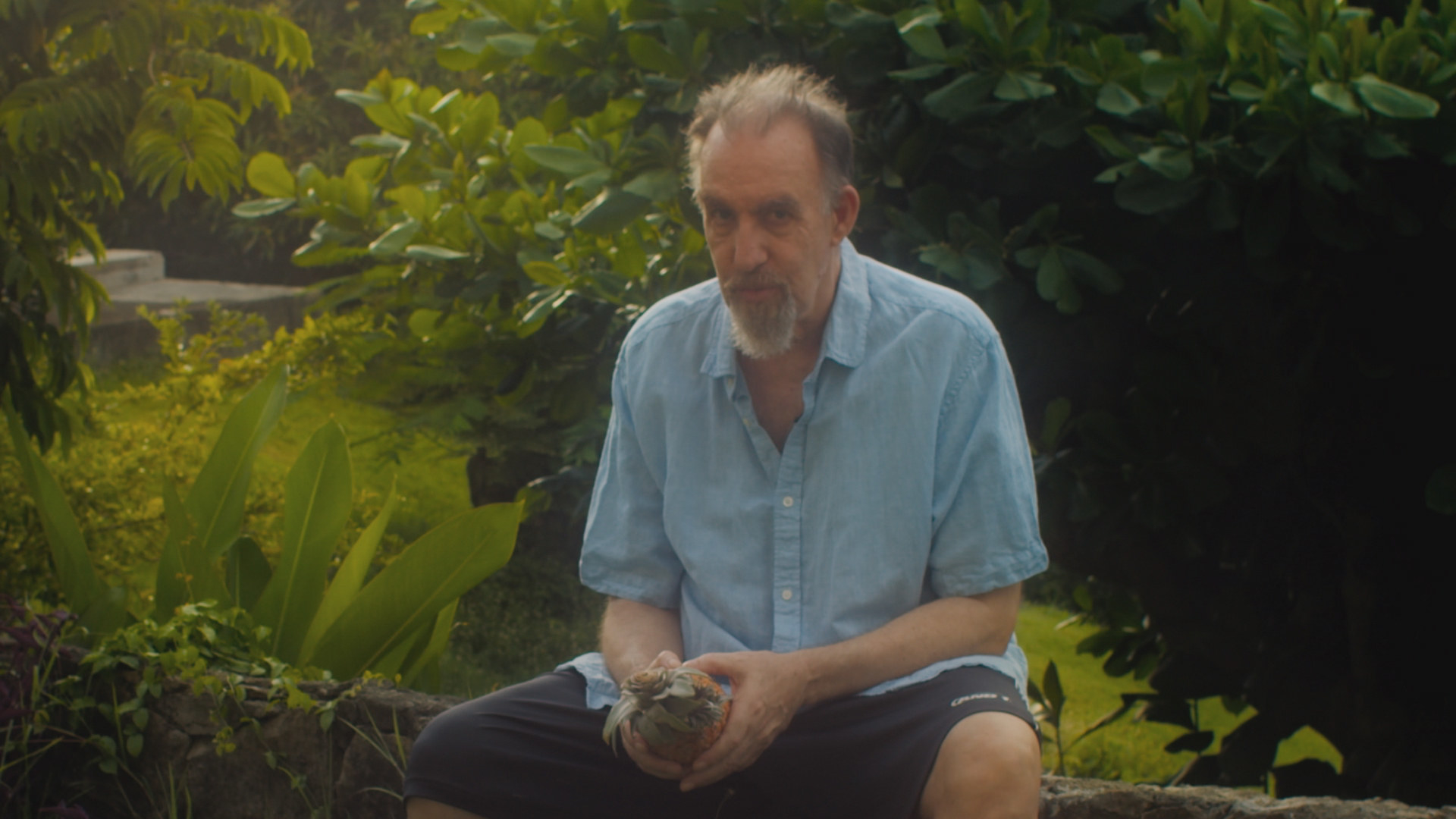 John Lurie sitting in the forest outside his home