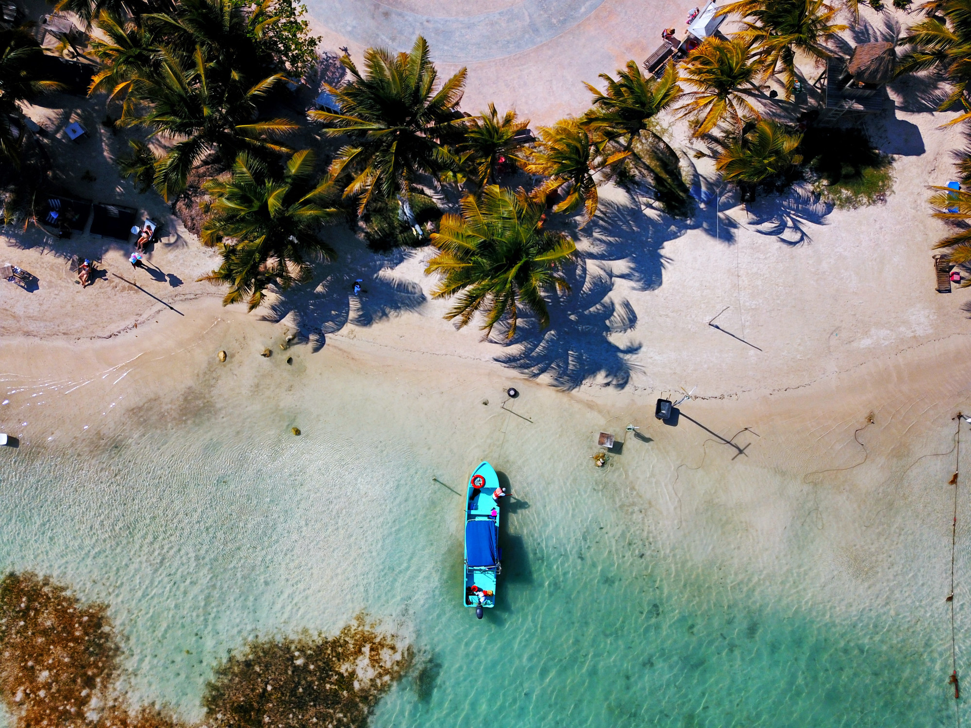 aerial shot of palms, sand, clear water with a fishing boat