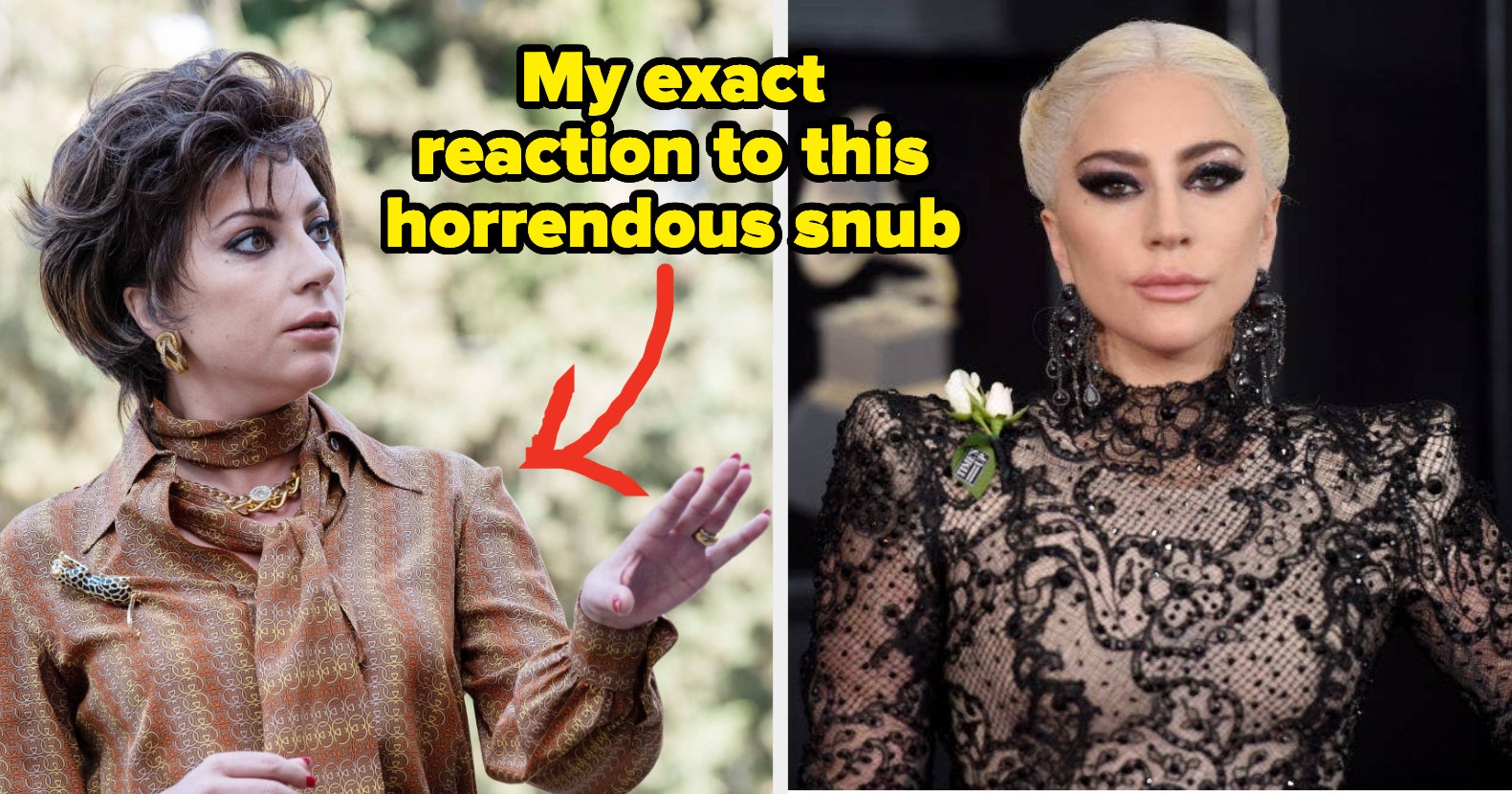 Lady Gaga Handled Her Oscar Snub With The Utmost Poise, While I — And Little Monsters Everywhere — Am Crying, Screaming, And Throwing Up