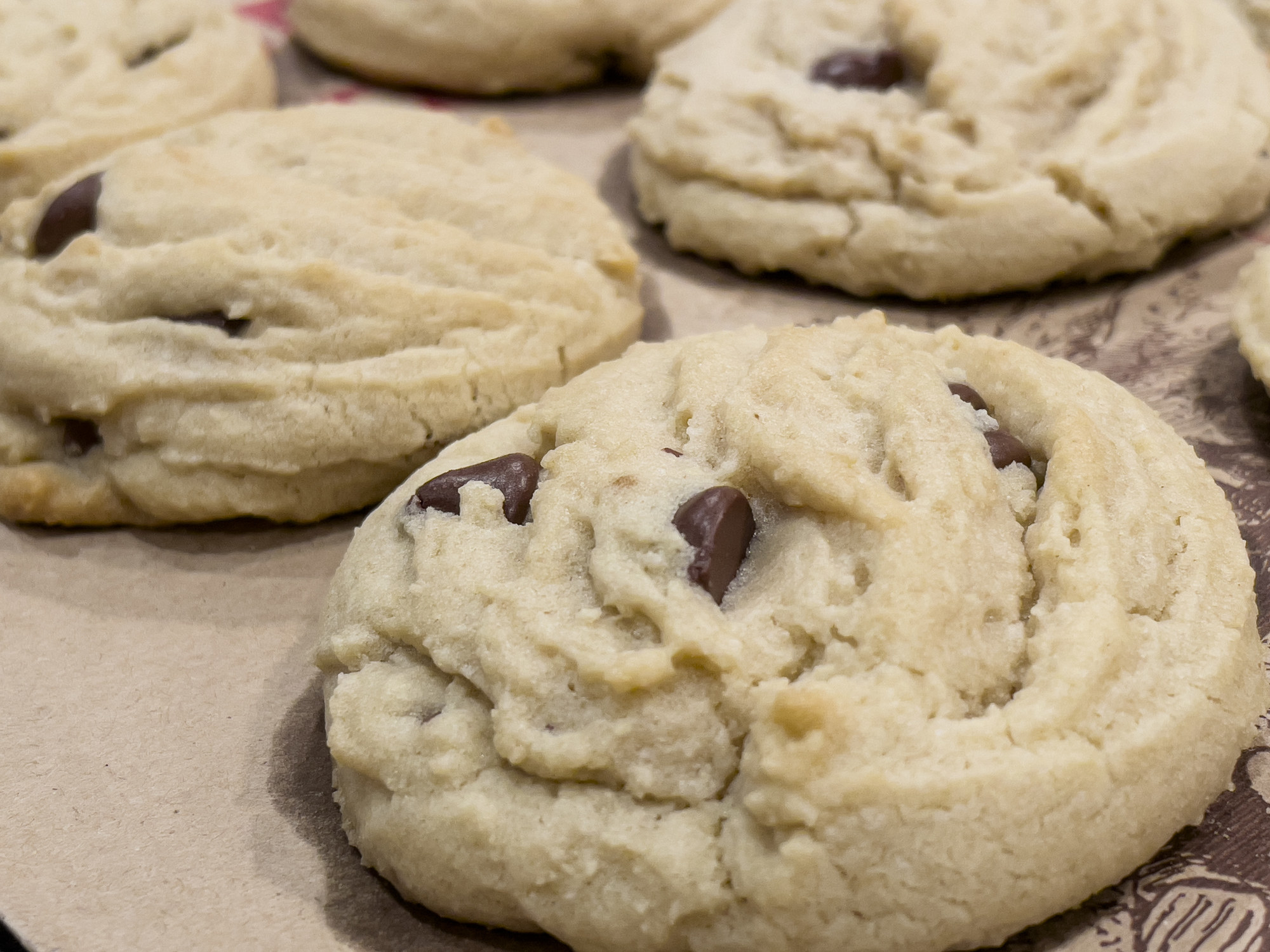 Closeup of several moist, fresh, homemade chocolate chip cookies