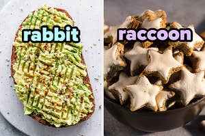 On the left, a slice of avocado toast labeled rabbit, and on the right, some star-shaped spice cookies labeled raccoon