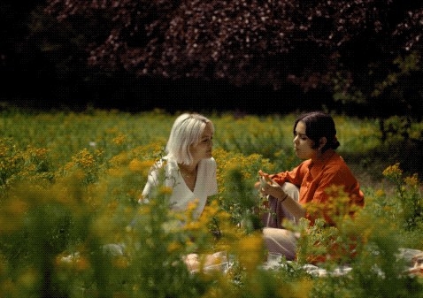 Couple enjoying a picnic in a field of flowers