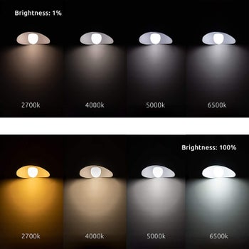 the reoccurring photo of the bulbs installed in a lamp showing the varying brightness levels