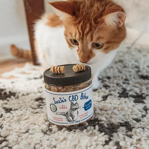 cat eating cbd bites