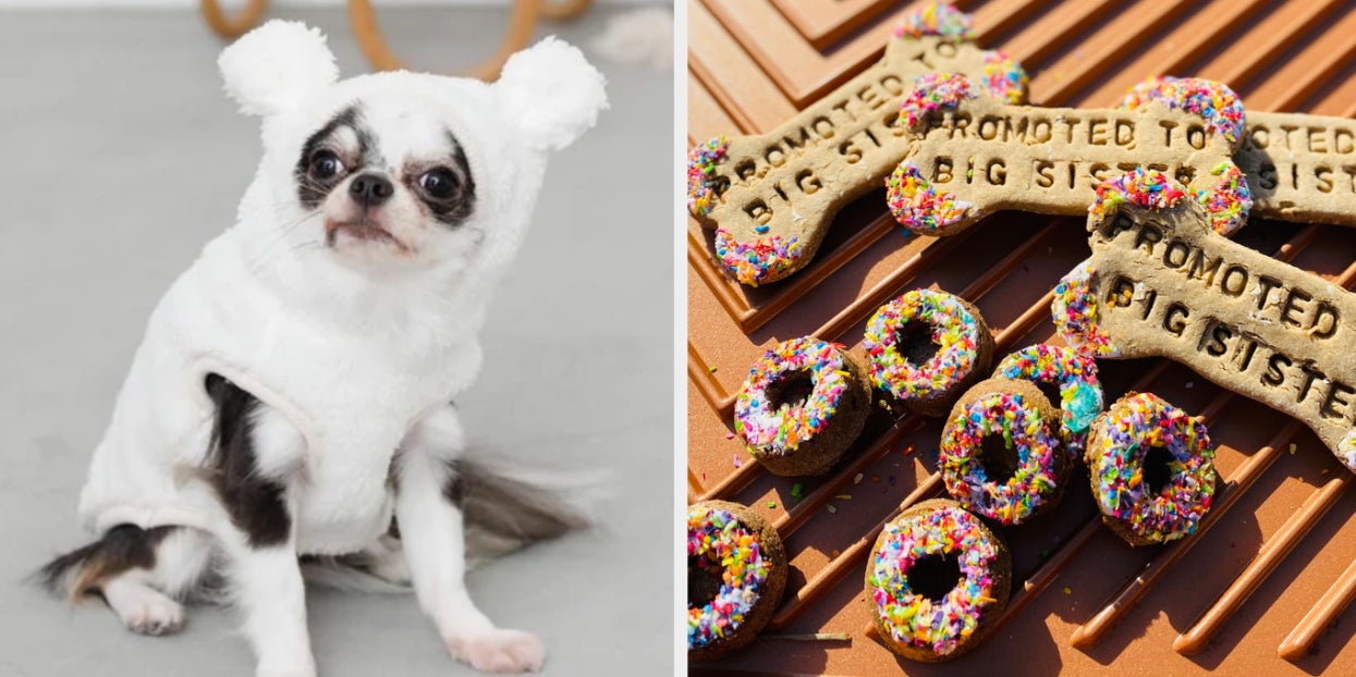 14 Wag-Worthy Products From Black-Owned Dog Brands That Your
Pup Will Simply Adore