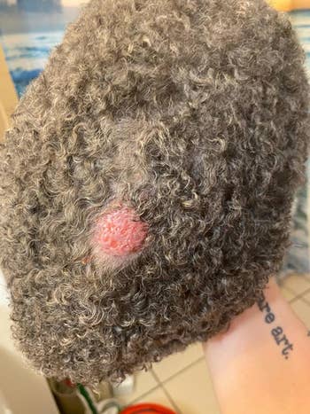 reviewer image of patch of dog's skin with ringworm