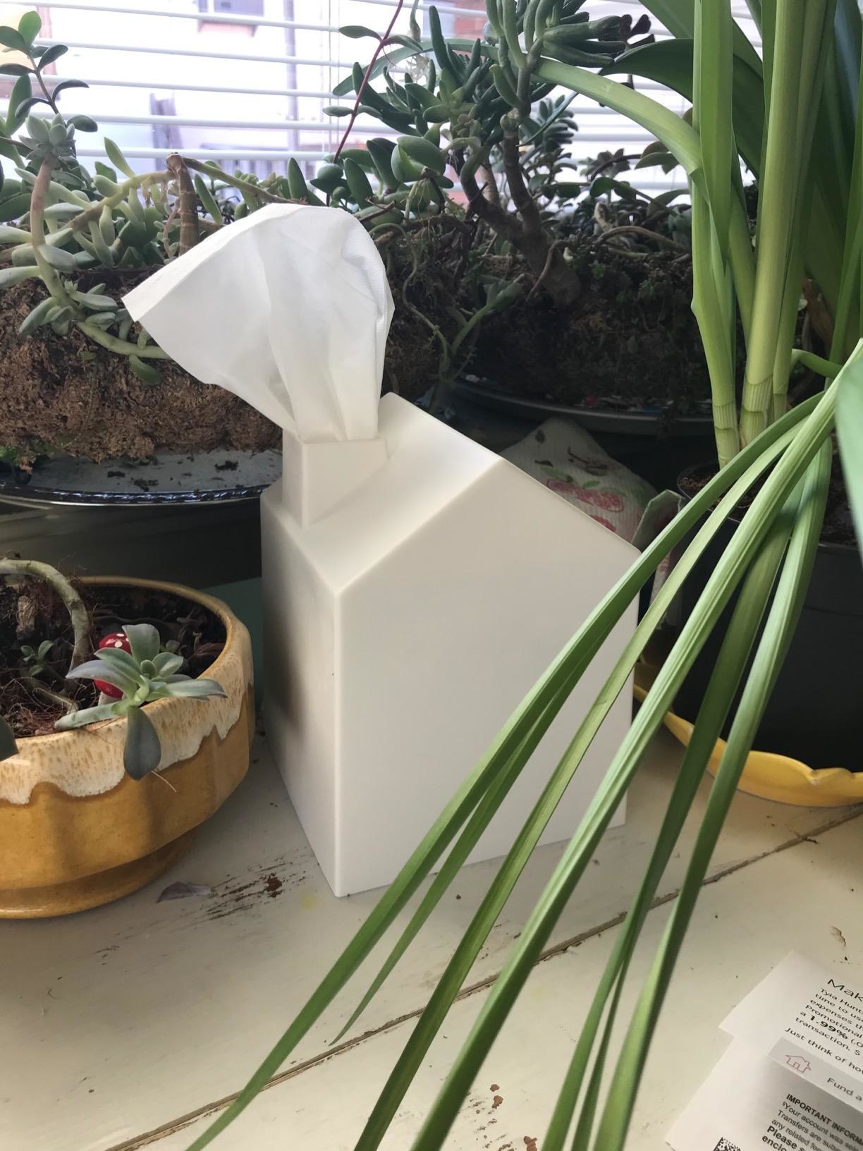 house-shaped white square tissue box cover next to plants