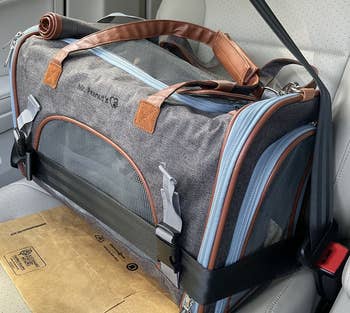 a reviewer photo of the pet carrier secured in the back seat of a car with a seat belt