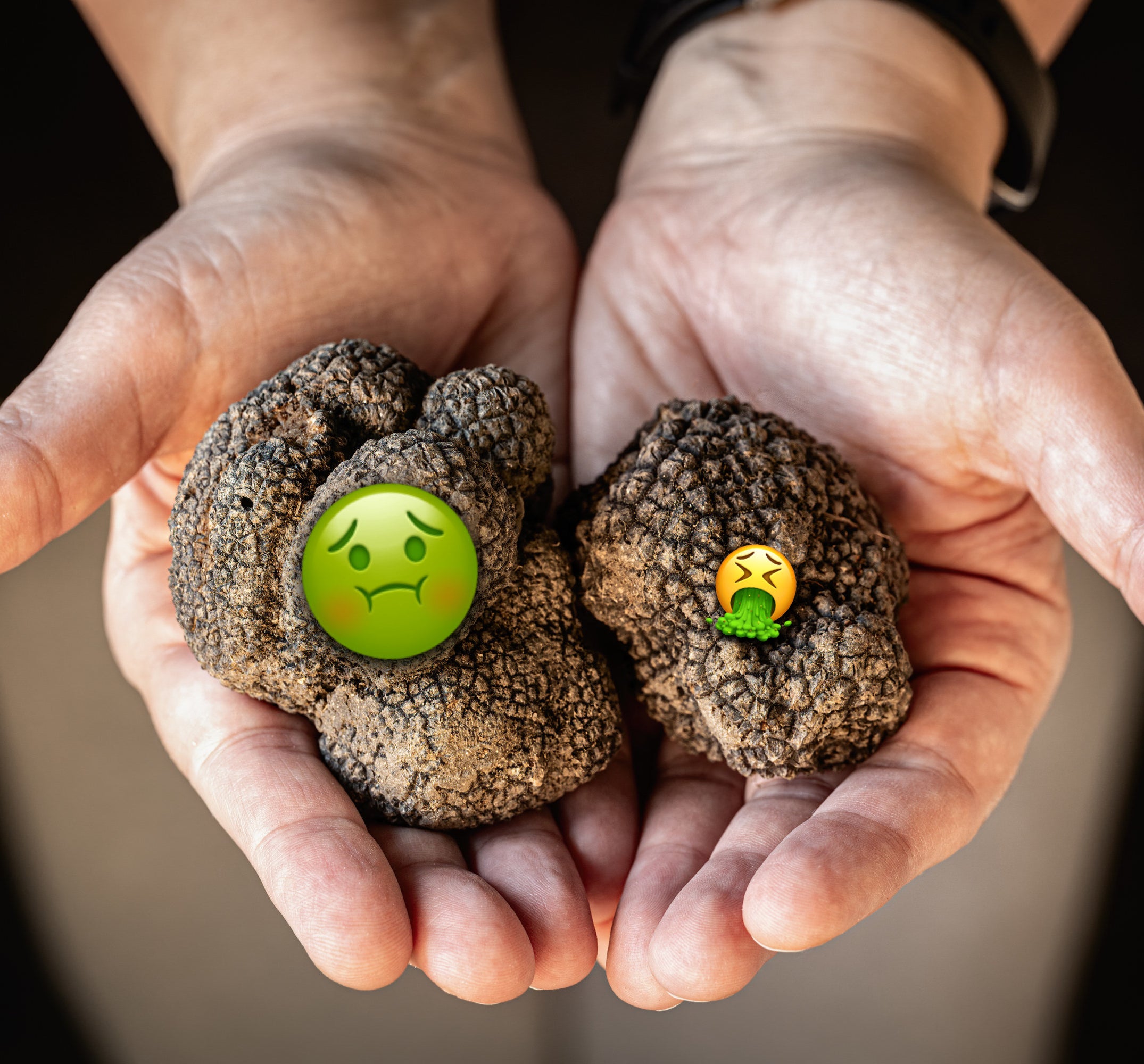 Vomit emojis placed over two truffles being held by someone
