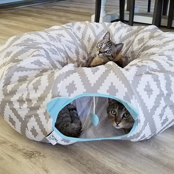 three cats in the tunnel bed (two in tunnel, one in middle part)