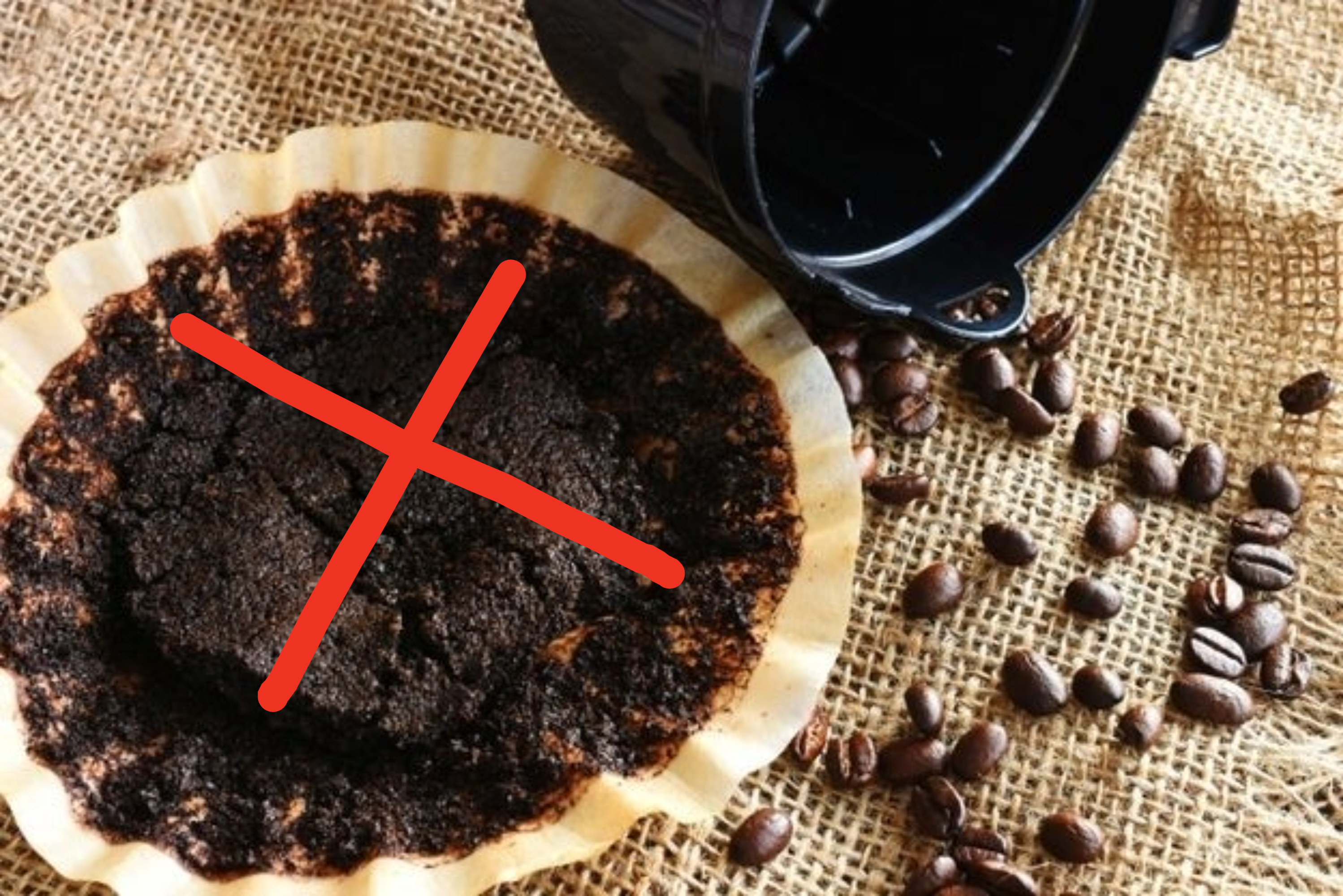 Coffee grounds in a coffee filter with an &quot;X&quot; through it