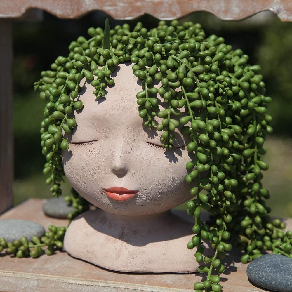 A vine plant in the head-shaped planter pot