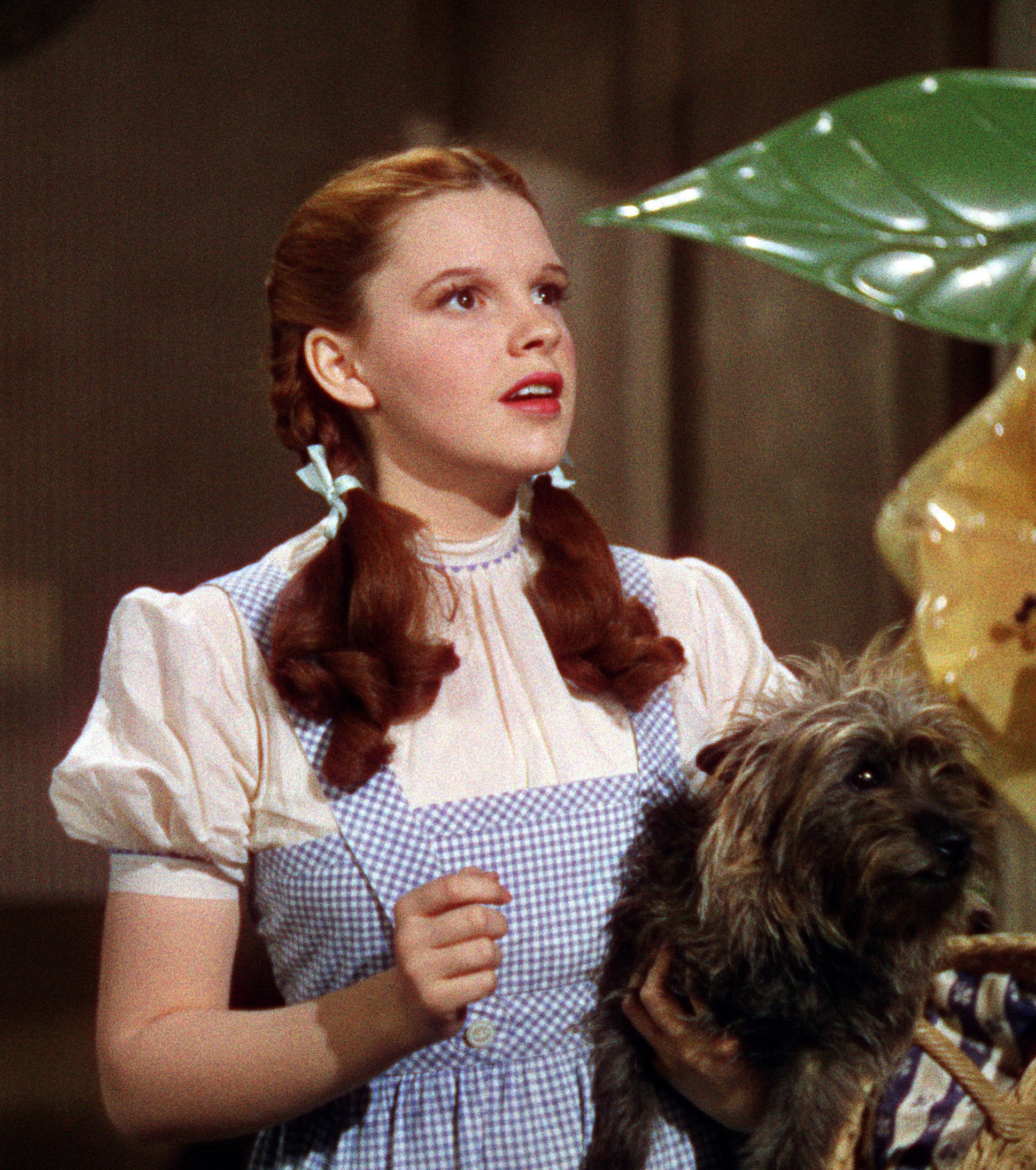 Dorothy in pigtails and holding Toto, her dog