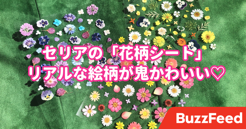 花柄がかわいすぎる セリアの 激かわグッズ でお洒落なスマホケースが作れちゃった