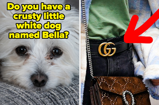 "Do you have a crusty little white dog named Bella?" and a Gucci belt