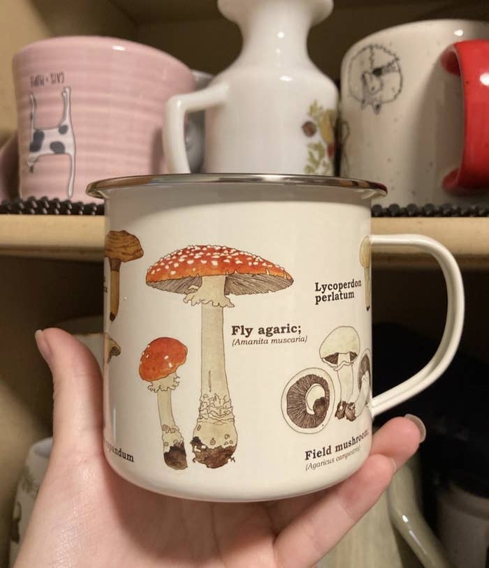 a person holding their mug with different mushrooms designs