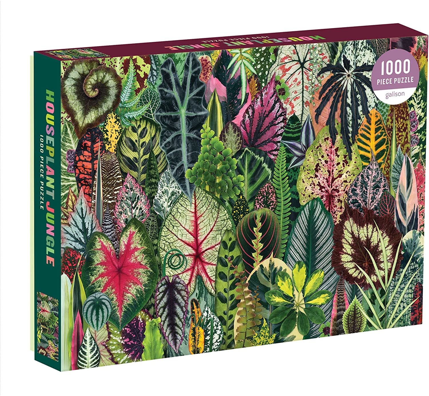 the houseplant puzzle box featuring an array of vibrantly colored plants