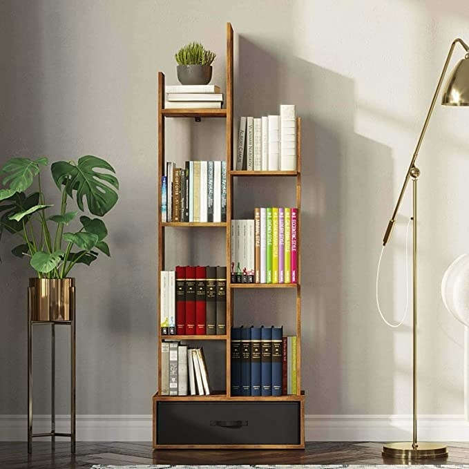 The shelf with books on it in between a plant and a lamp