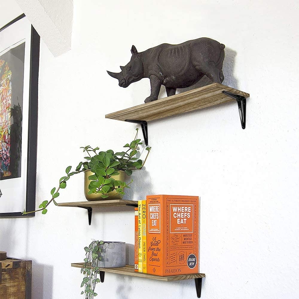 Floating shelves with plants and books on them