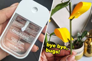 A person holding a bottle of hand sanitizer, A person holding a small stake with sticky tab attached to side to catch bugs