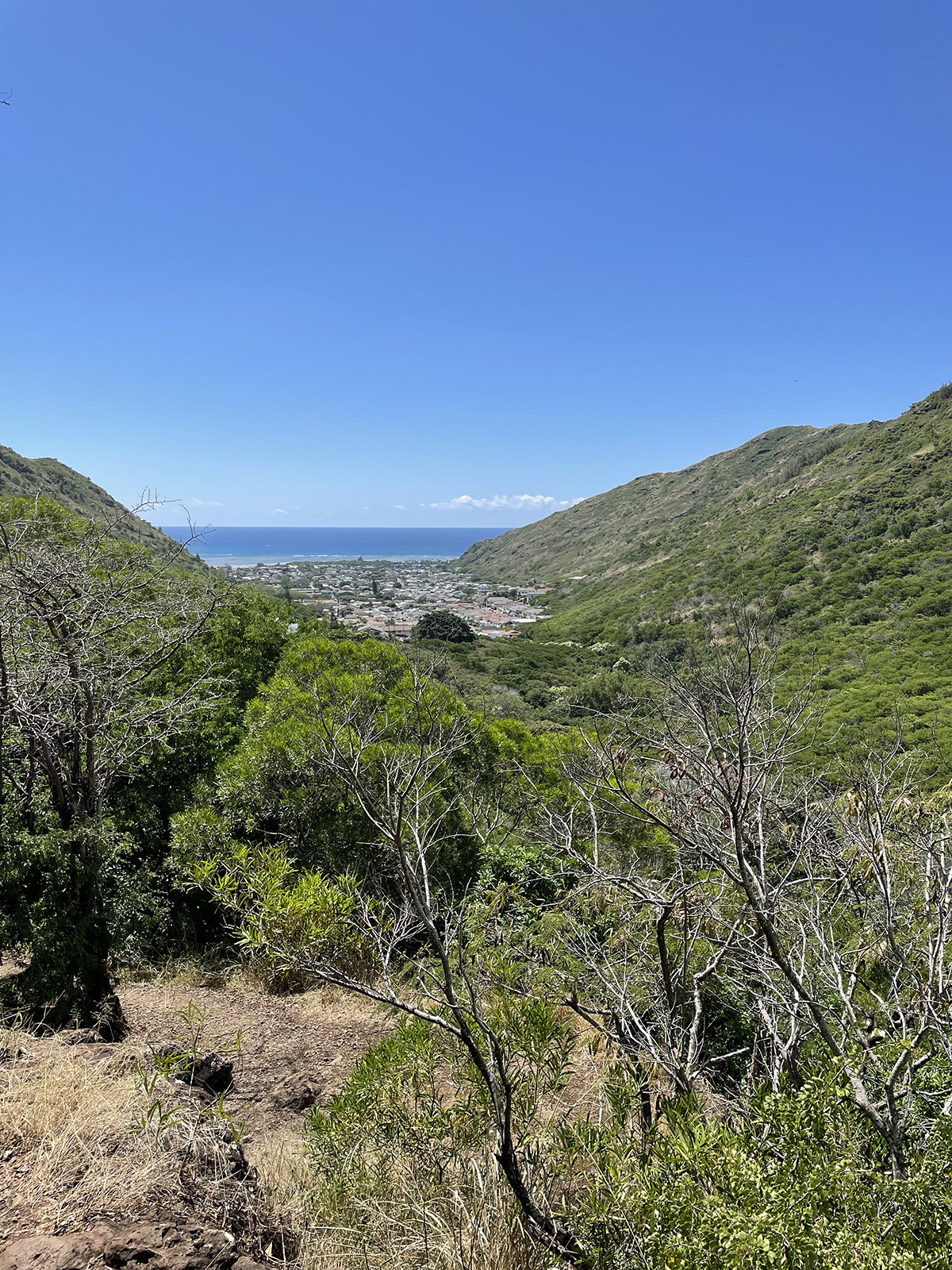 A view of the ocean from high up on the hiking trail
