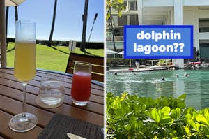 A pair of colorful drinks on a table near the ocean, and people swimming with dolphins in a pool