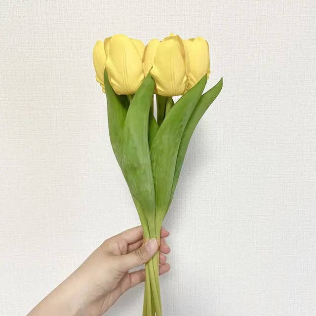 これ100均とかヤバくない セリアの レトロ食器 チューリップ柄が可愛すぎる