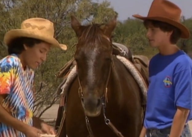 Danny and Ted with a horse on Hey Dude