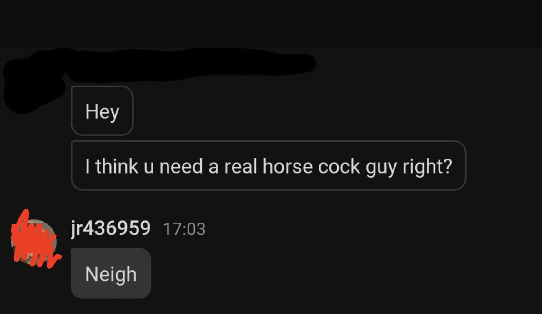 A man texts, I think u need a real horse dock guy right, and she responds, neigh