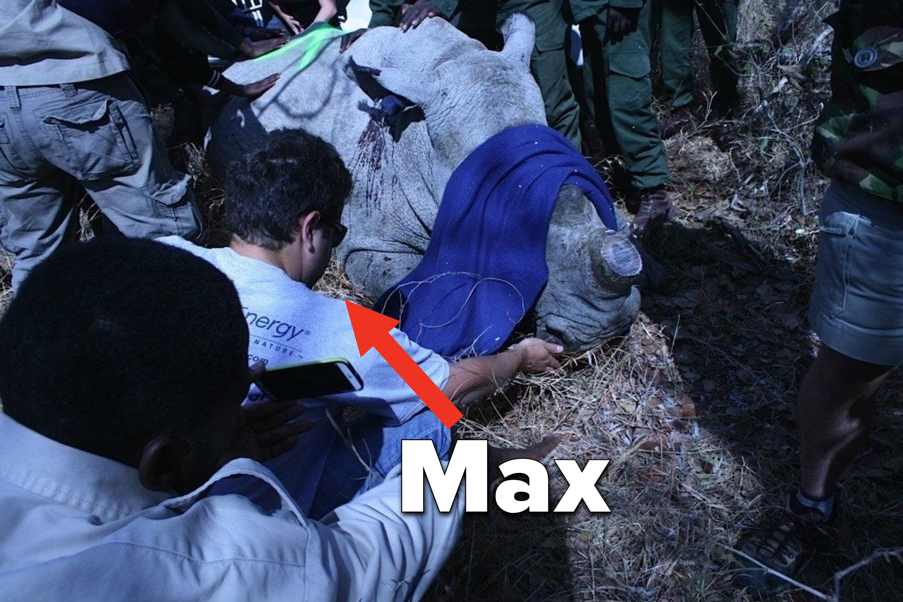 Max helping care for an injured rhino