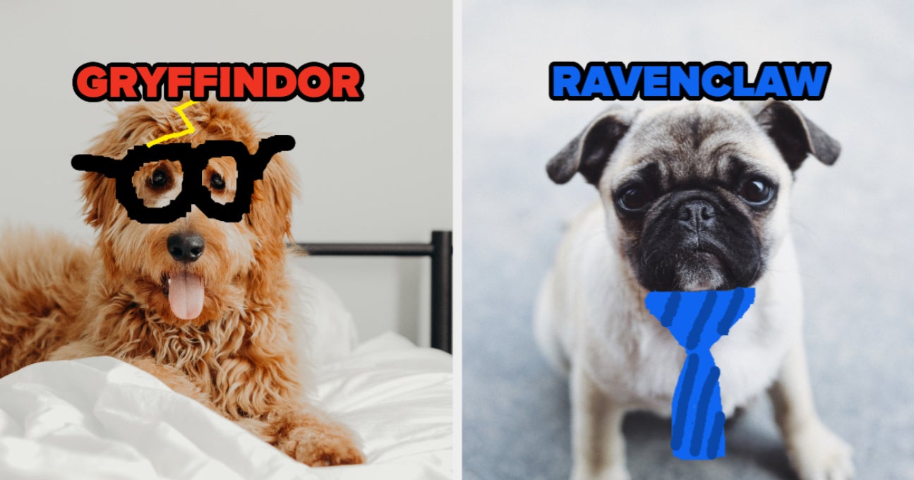 Sure, You Might Know Your Hogwarts House, But I'm About To Reveal Which