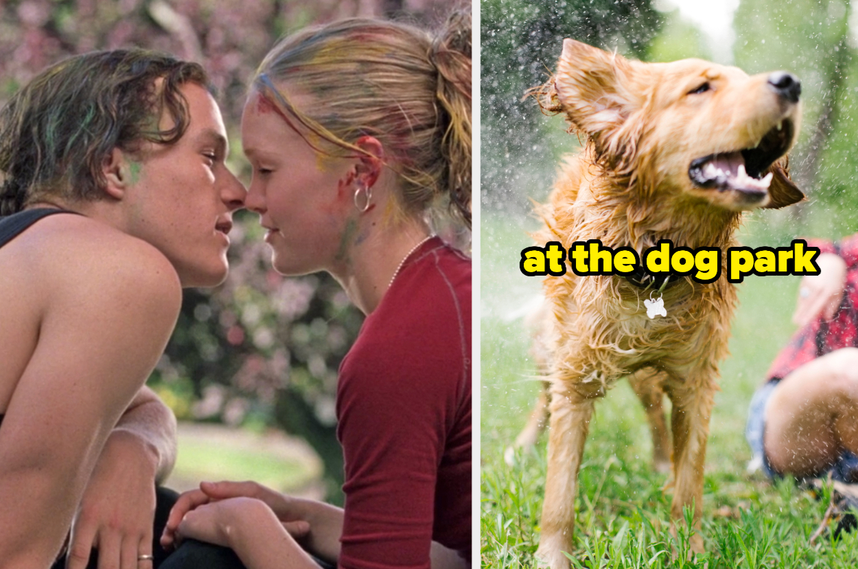 On the left, Patrick and Kat from 10 Things I Hate About You leaning in to kiss, and on the right, a golden retriever shaking off water labeled at the dog park