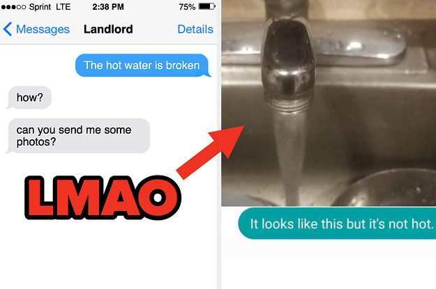 A landlord asking for photos of hot water and the tenant replying "it looks like this but it's not hot"