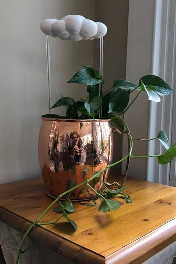 the cloud sitting in a rosegold plant pot