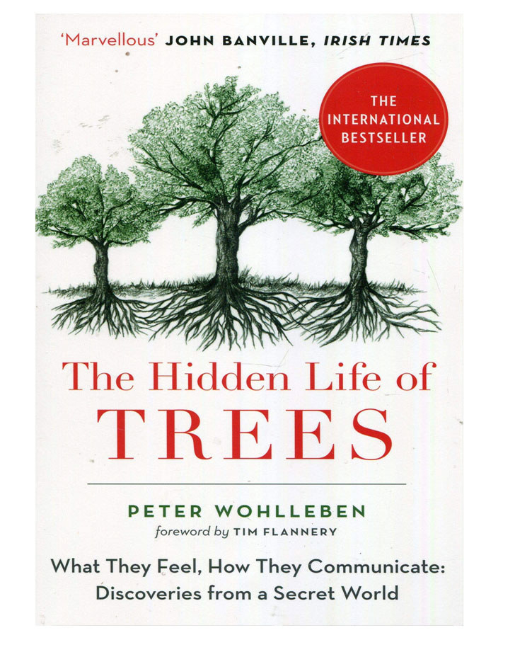 The cover of &quot;The Hidden Life of Trees&quot; by Peter Wohlleben.