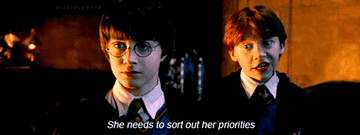 Ron telling Harry &quot;She needs to sort out her priorities&quot;