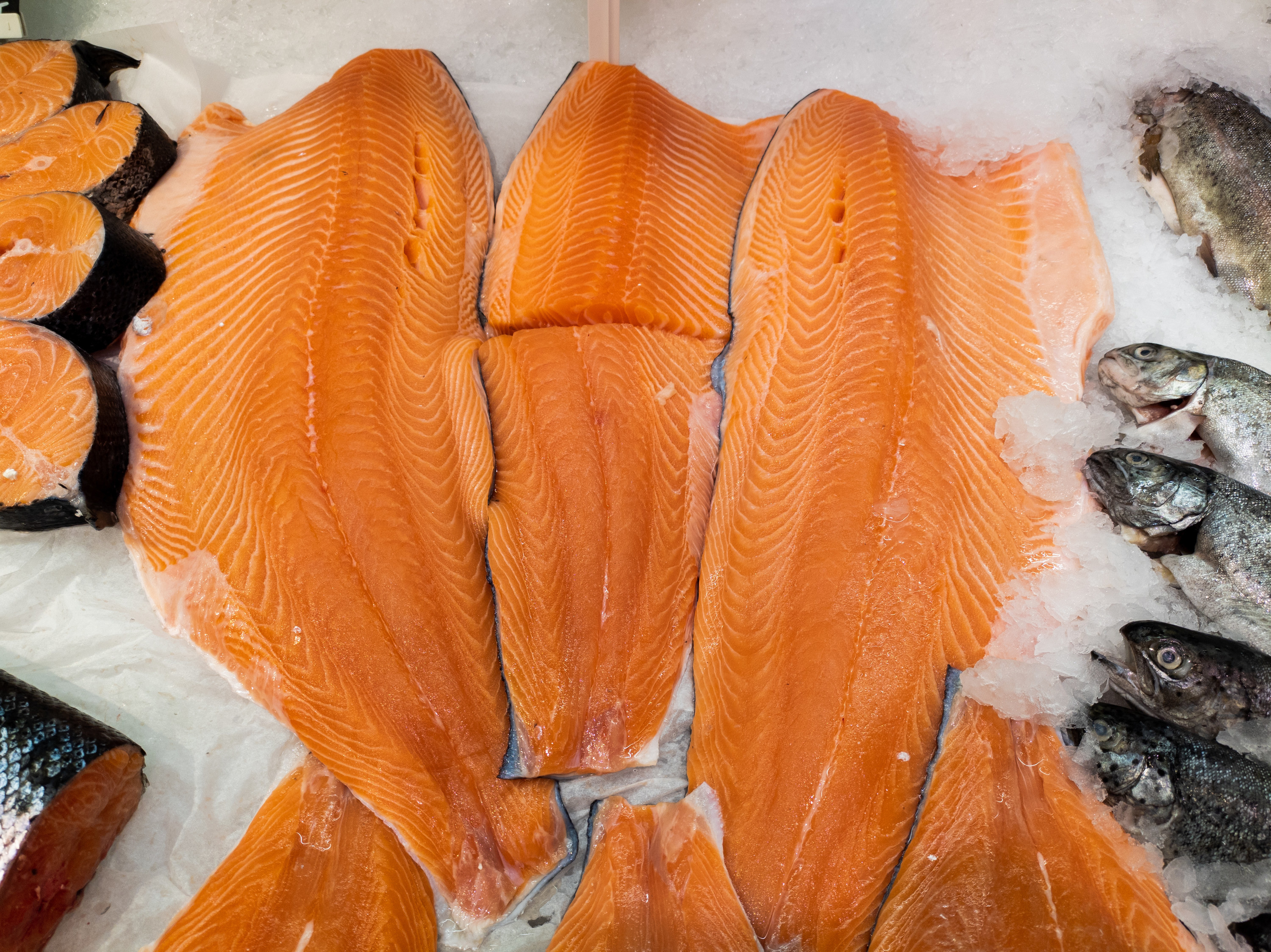 Raw salmon on ice at a fish counter