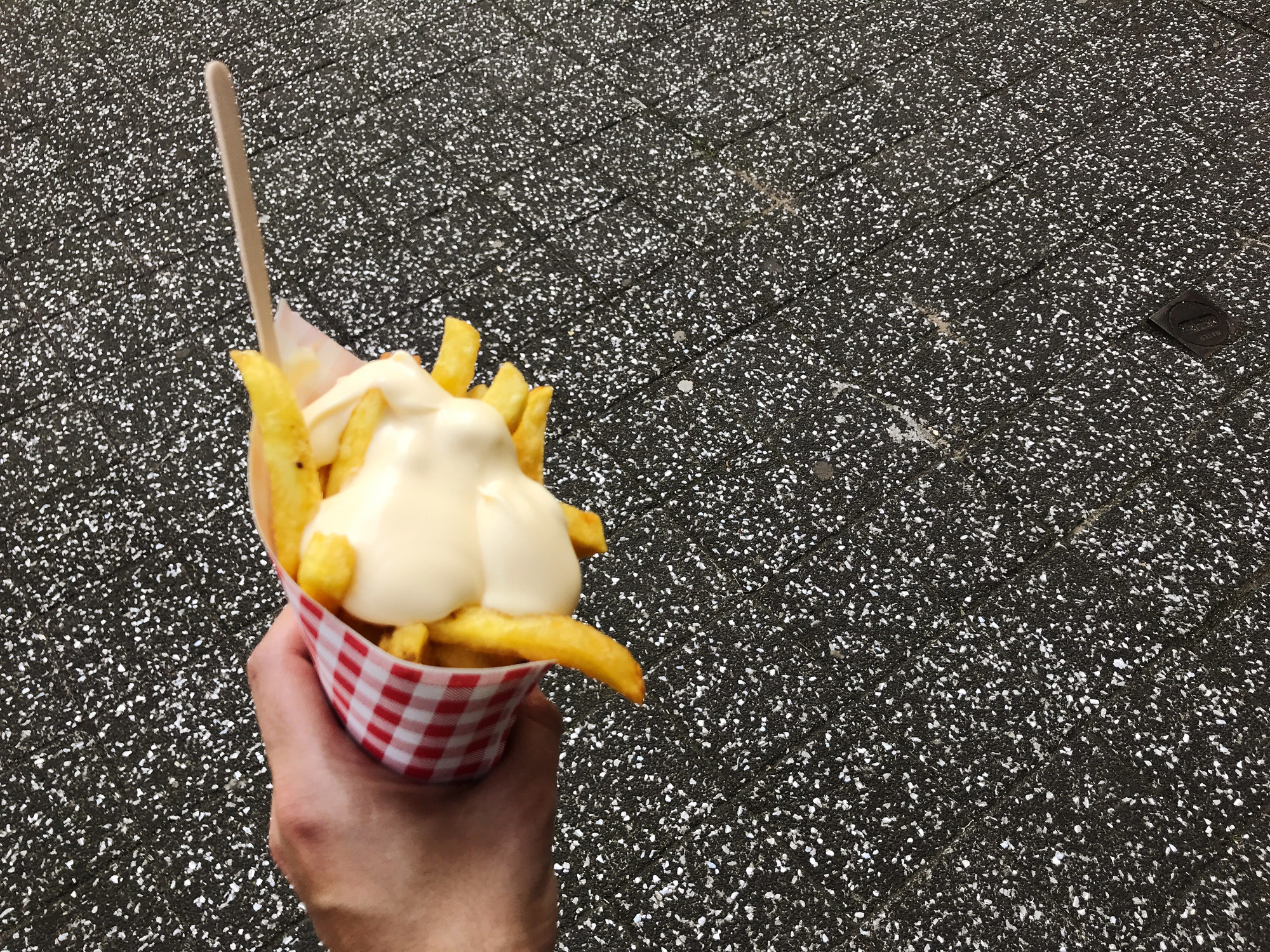 French fries covered in mayonnaise