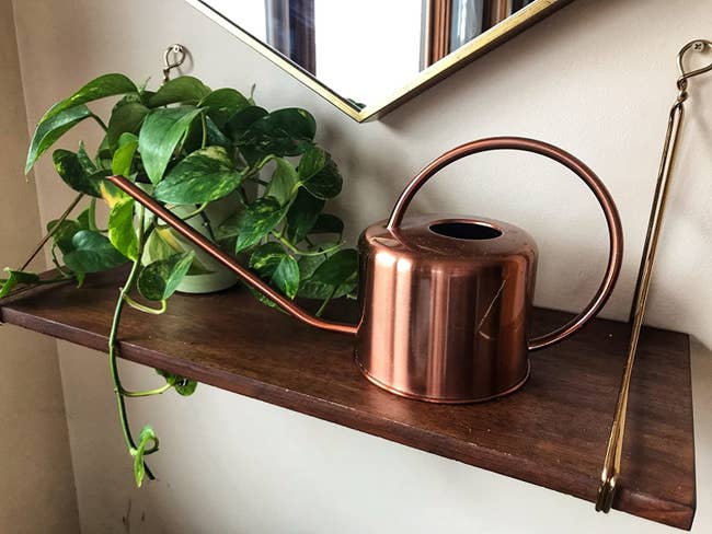 the copper water can on a reviewer's shelf