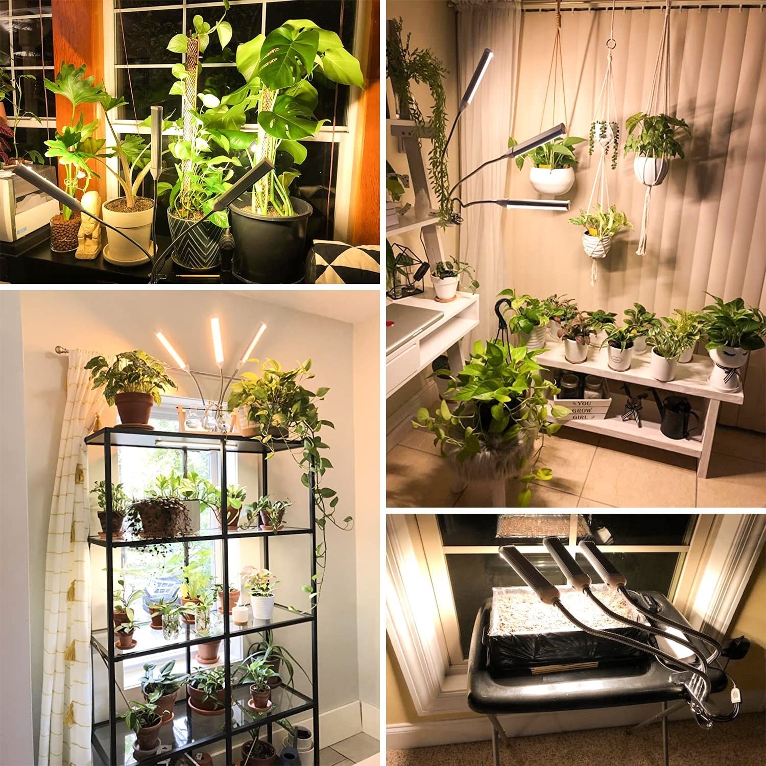 The grow light being used in various ways to spread light onto plants