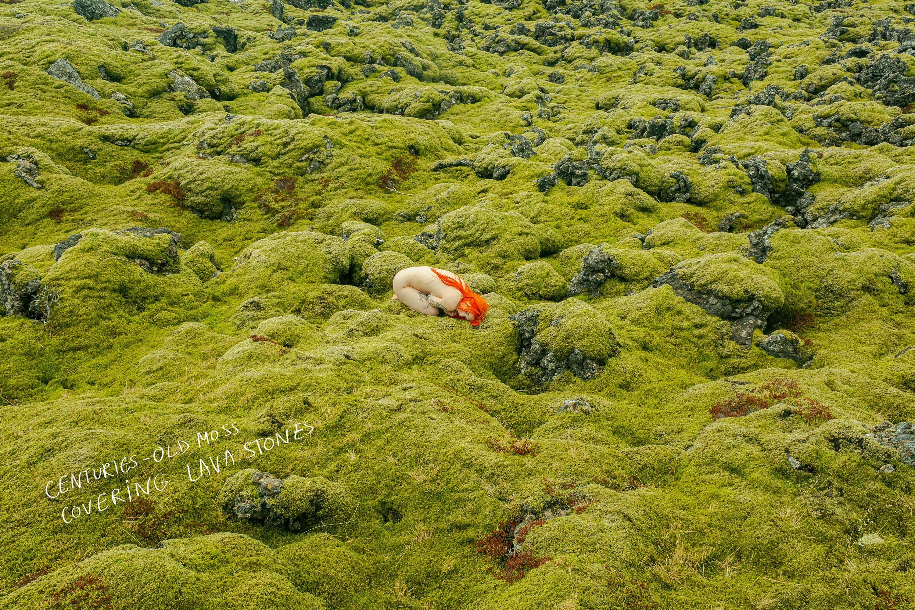 The artist nude outside in fetal position on a moss covered rock landscape with the text on the image reading, &quot;centuries old moss covering lava stones&quot; 