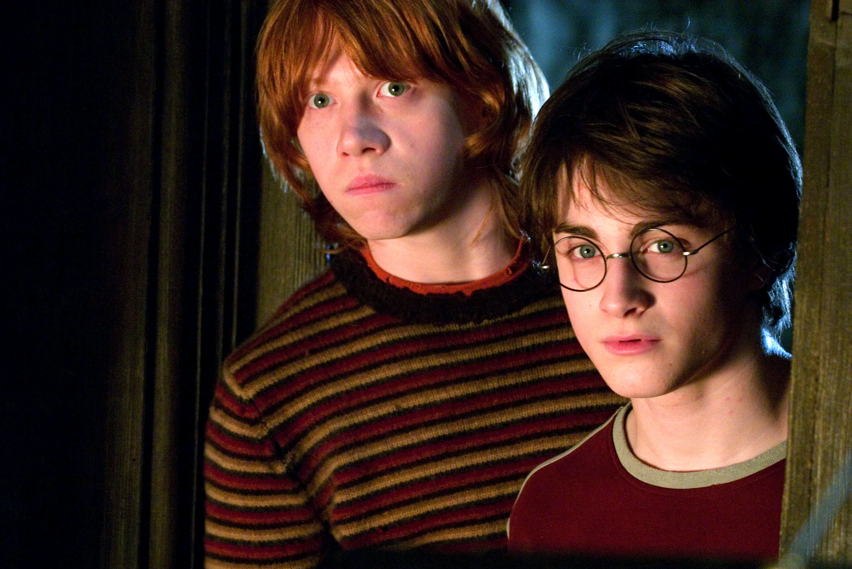 Harry and Ron in "The Goblet of Fire"