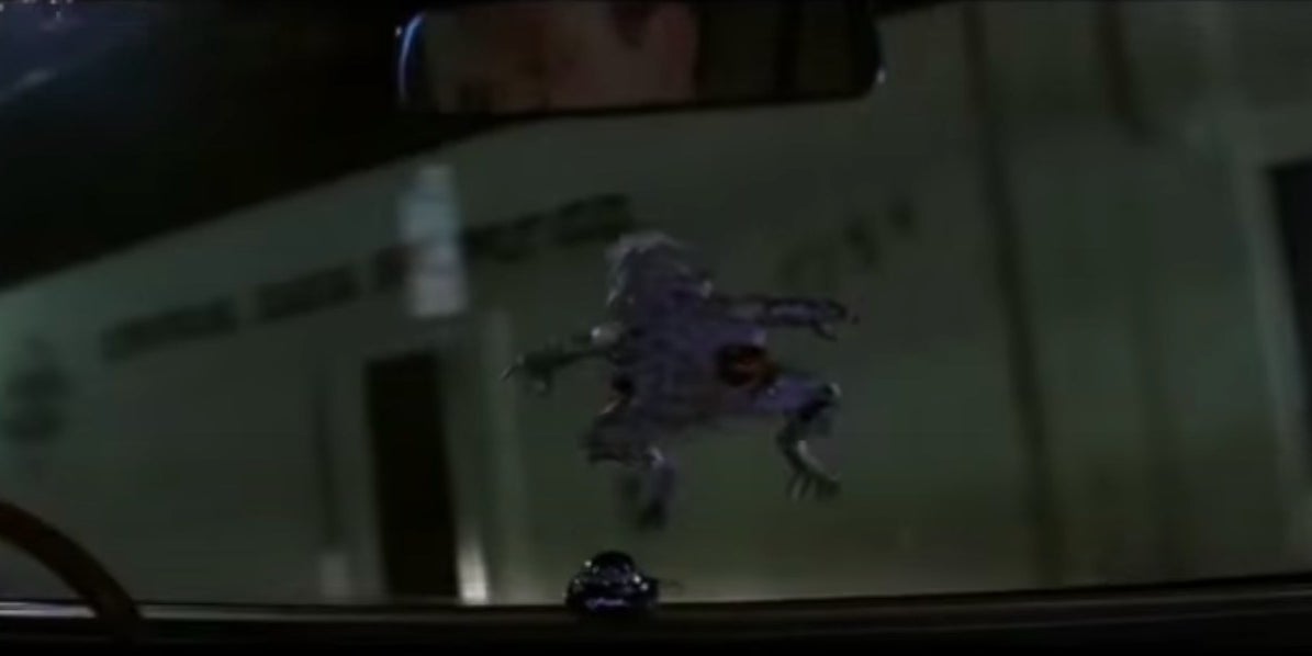 A frog on the windshield of Jim's car in "Magnolia"