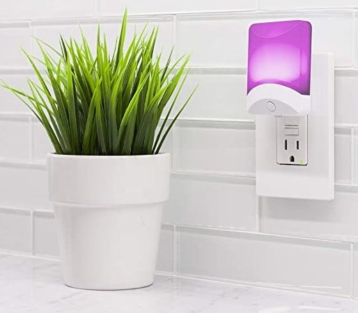 The night light plugged into a wall next to a plant