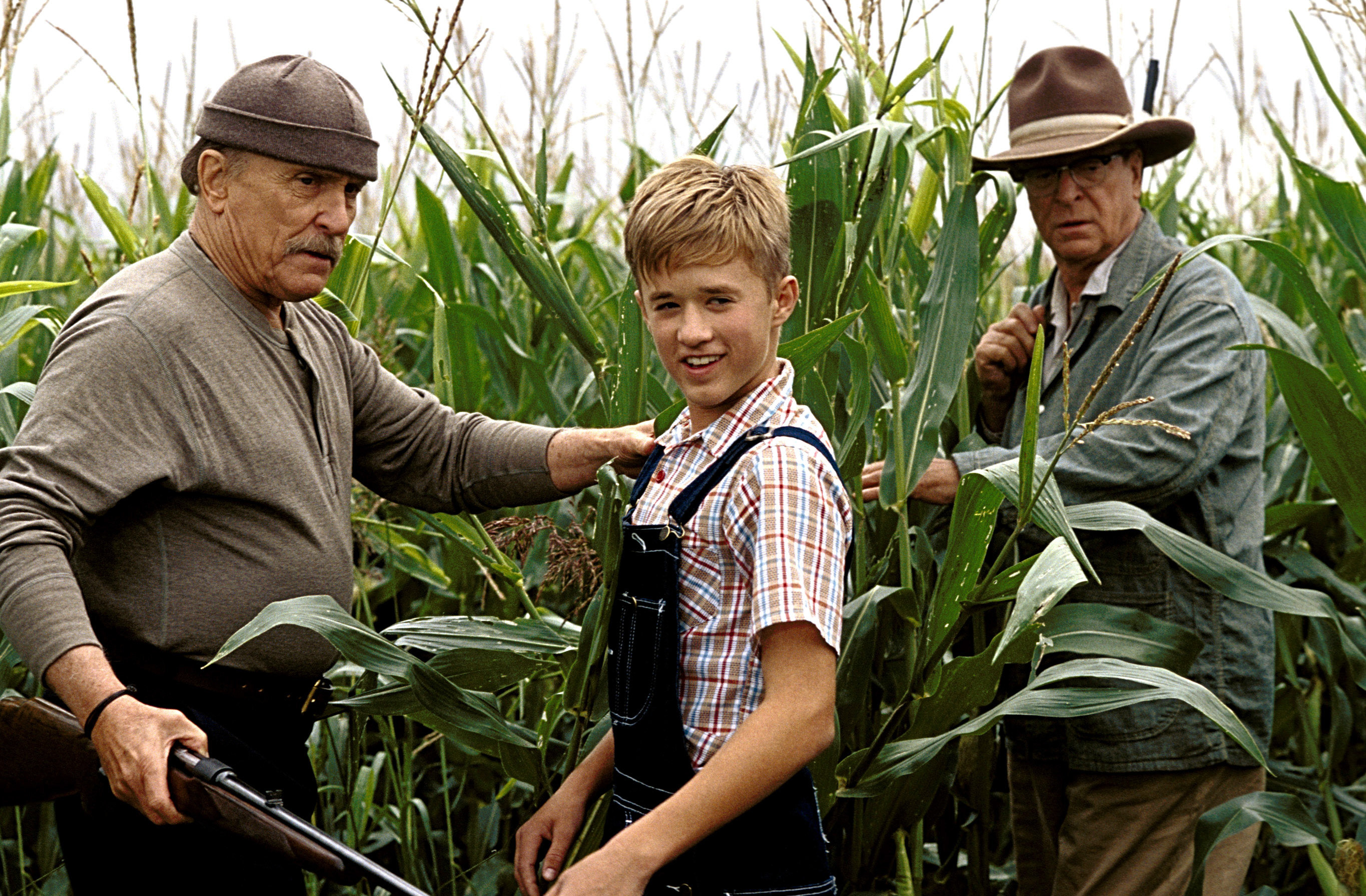 两个男人和一个男孩在玉米地里