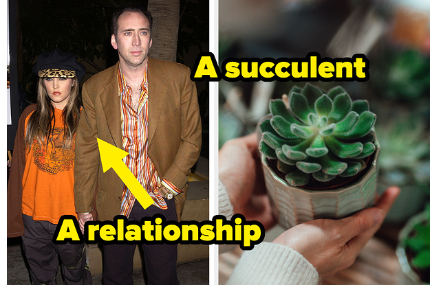 a relationship and a succulent